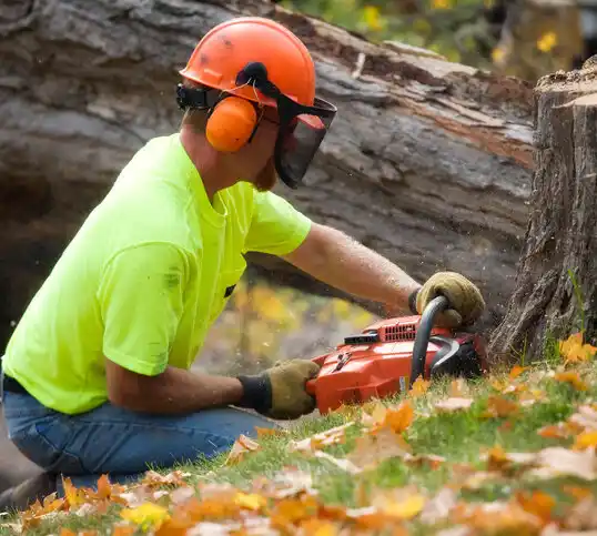 tree services Houston